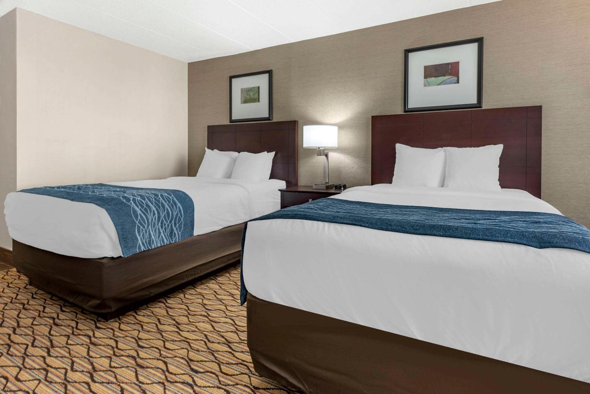 Comfort Inn & Suites Glen Mills - West Chester Exteriér fotografie